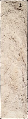 SV2-1 from our collection of cast stone Stone Veneer