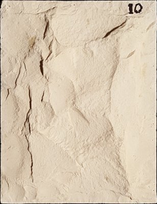 SV2-10 from our collection of cast stone Stone Veneer