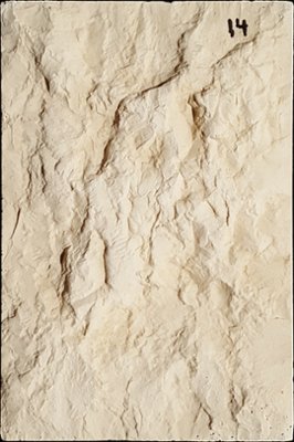 SV2-14 from our collection of cast stone Stone Veneer