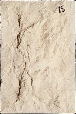 SV2-15 from our collection of cast stone Stone Veneer