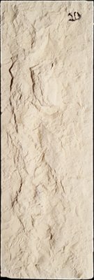 SV2-20 from our collection of cast stone Stone Veneer