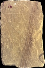 Stone Veneer sv1-16