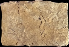 Stone Veneer sv1-17