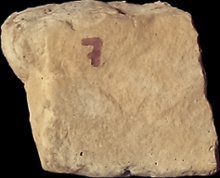Stone Veneer sv1-7