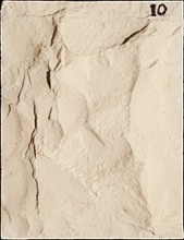 Stone Veneer sv2-10