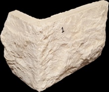 Stone Veneer sv2-1c