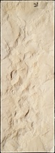 Stone Veneer sv2-21