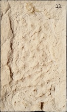 Stone Veneer sv2-22