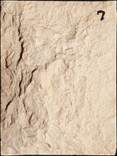 Stone Veneer sv2-7