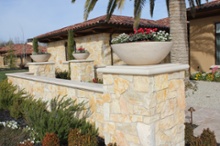 Planter Photo 2