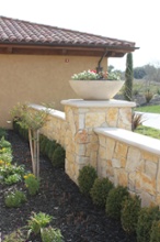 Planter Photo 3