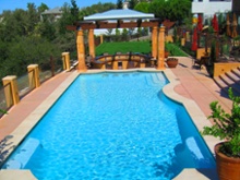 Pool Coping Photo 7