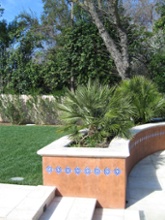 Wall Cap Photo 10