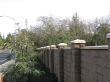 Wall Cap Photo 2
