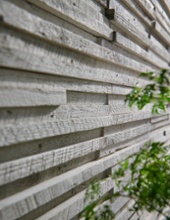 Rivenwood™ - Shore Breeze™ , Photo 241