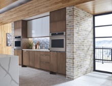 TundraBrick® - Latigo , Photo 402