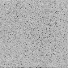 Silver Grey - Stone Finish Travertine