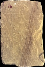 Stone Veneer SV1-16