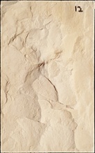 Stone Veneer SV2-12