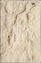 Stone Veneer SV2-14