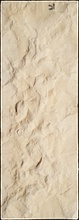 Stone Veneer SV2-21