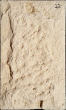 Stone Veneer SV2-22