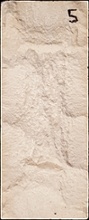 Stone Veneer SV2-5