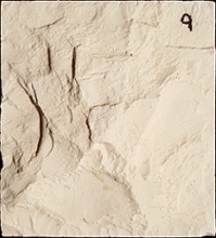 Stone Veneer SV2-9
