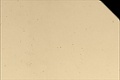 Moulding M609-6X4